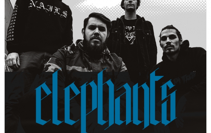 New Signing : ELEPHANTS