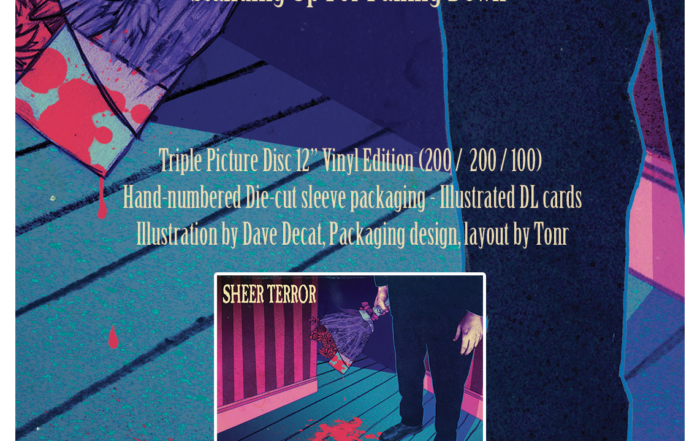 SHEER TERROR Standing Up For Falling Down triple picture disc vinyl edition