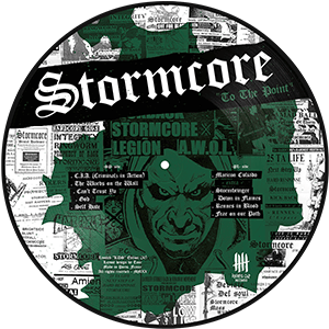 STORMCORE To The Point Double Picture Disc Vinyl Edition