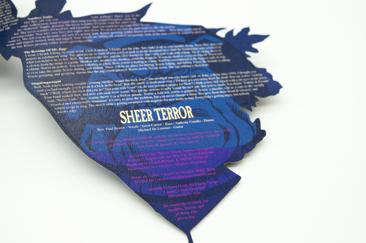 SHEER TERROR Standing Up For Falling Down triple picture disc vinyl