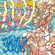 MUTILATED JUDGE We Ghostwrote Every Tool Album